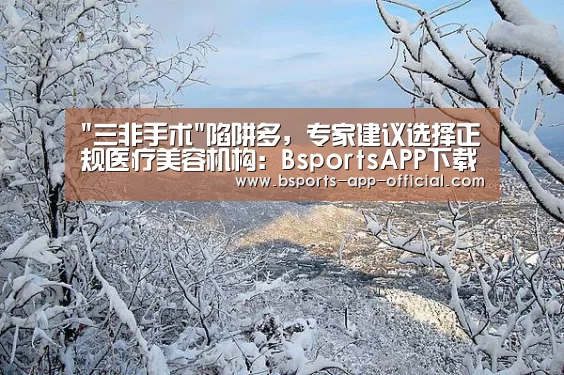 Bsports下载