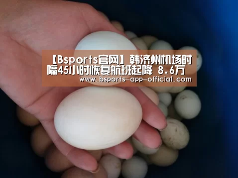 Bsports官网